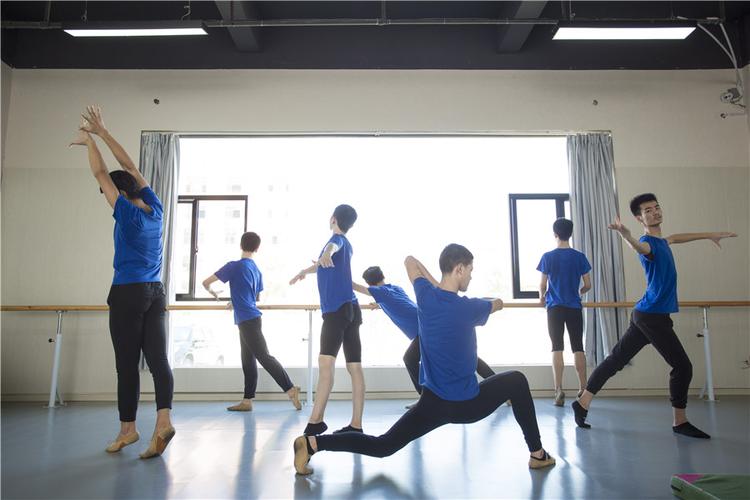 九江官方舞蹈培训哪家强 有口皆碑 芳华文化艺术培训供应